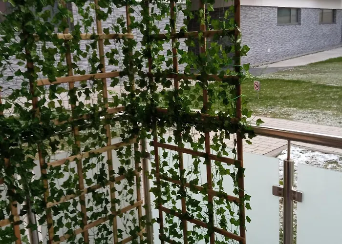 Apartament Elmar